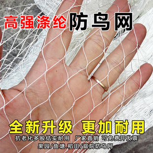 高强涤纶防鸟网大棚防风口果园果树户外鱼塘养殖合股线涤纶防护网