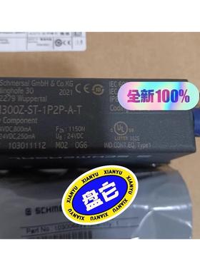 AZM300Z-ST-1P2P-A-T 德国Schmersa