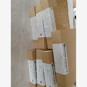 PEPPERL+FUCHS PN183439倍加福全新M议价