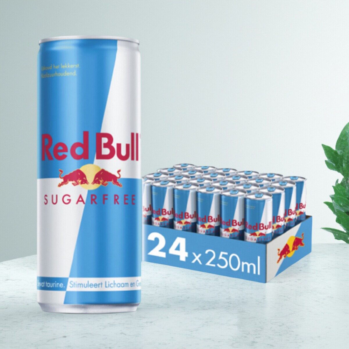 港版无糖sugarfree奥地利红牛Red Bull含气维生素运动饮料250mlx6