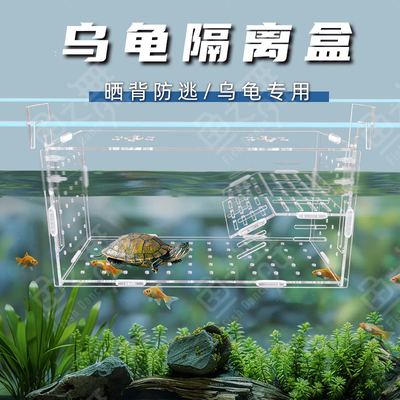 壁挂式隔离盒鱼缸乌龟晒台亚克力乌龟晒背专用隔离盒乌龟爬台防逃
