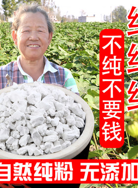 农家地瓜粉红薯勾芡安徽阜阳特产