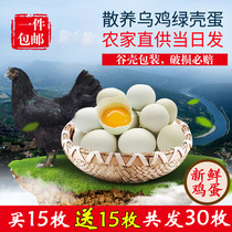 四川扶贫绿壳乌鸡蛋农家散养绿壳土鸡蛋30枚谷物新鲜正宗
