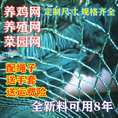 小孔养殖网防鸟网啵啵虎