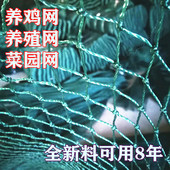 户外农村养鸡网养殖网菜园围网防鸡网围栏网尼龙网鱼塘天网