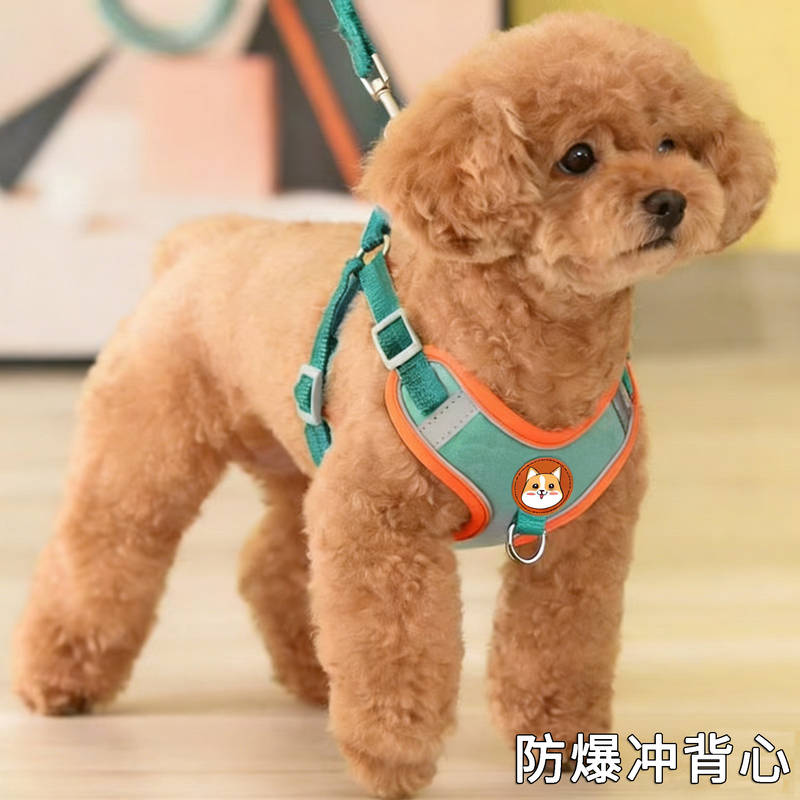 狗狗牵引绳夜用反光背心式中小型犬外出遛狗泰迪猫咪牵引绳比熊犬