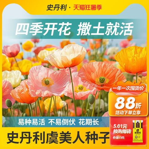 史丹利精选虞美人种子花色纯正