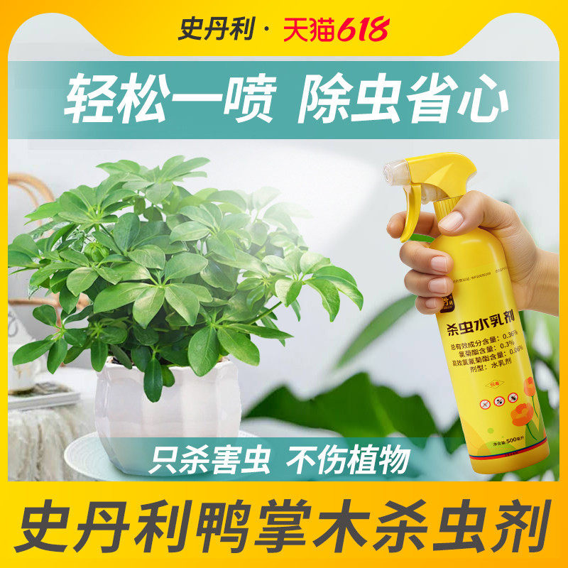 史丹利鸭掌木专用杀虫剂鸭脚木介壳虫红蜘蛛除蚧壳虫驱虫鹅掌木药