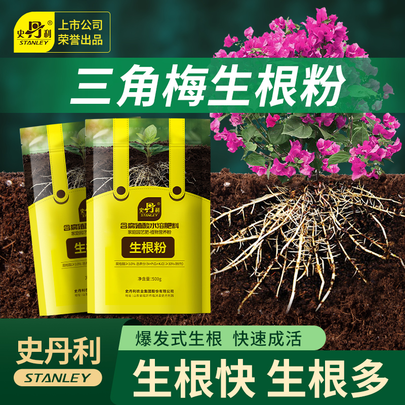史丹利三角梅专用生根粉快速生根