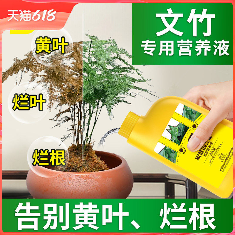 史丹利文竹营养液专用肥室内盆栽水培植物老桩通用金叶盆景治黄叶