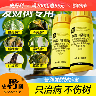 史丹利发财树专用黄叶枯叶烂根枯萎叶子发黄白斑甲霜恶霉灵杀菌剂