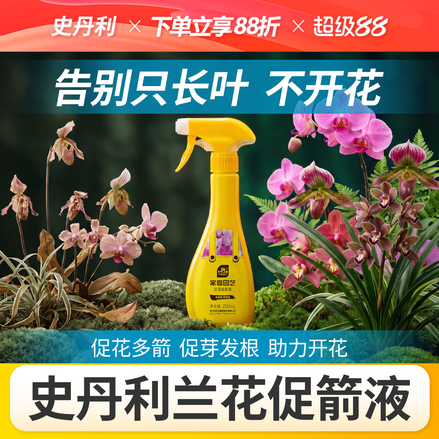 史丹利蝴蝶兰开花专用肥兰花多箭素免稀释营养液君子兰爆芽叶面肥