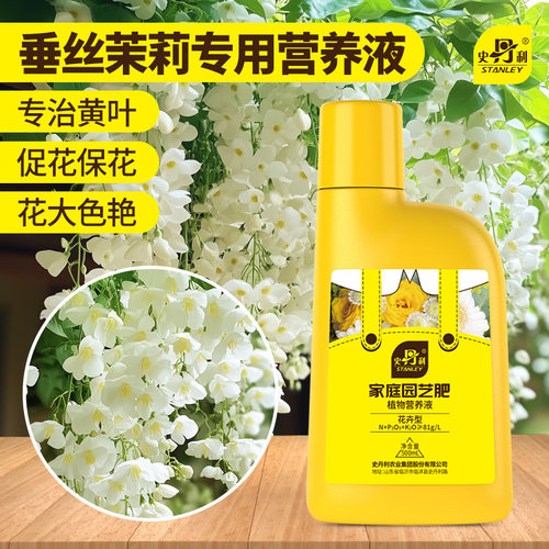 垂丝茉莉专用营养液花开满屏