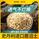 史丹利日本进口鹿沼土颗粒硬质杜鹃兰花多肉纯赤玉土铺面介质营养