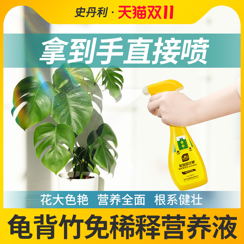 史丹利龟背竹营养液催芽生根