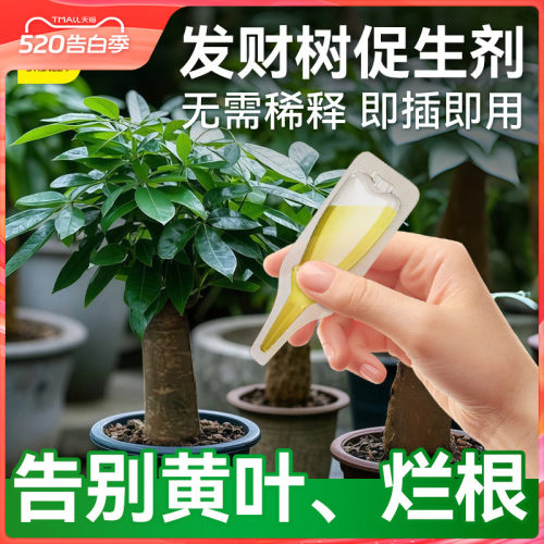 史丹利发财树专用营养液促生剂