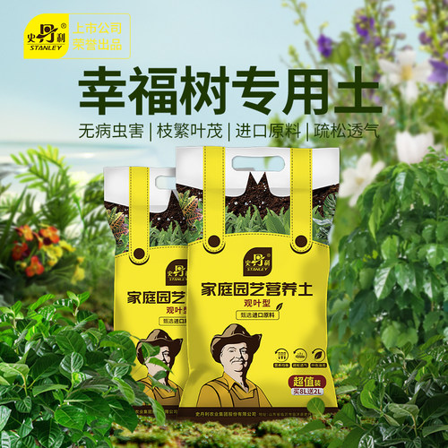 幸福树专用土疏松透气