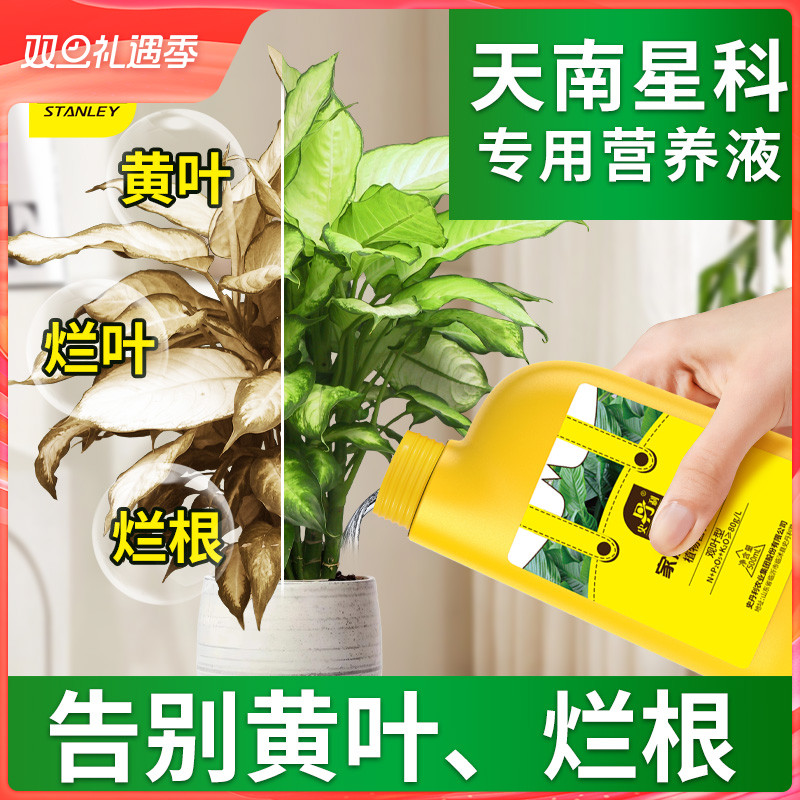 史丹利天南星科专用营养液海芋花肥白龟盆栽花肥料龟背竹观叶植物