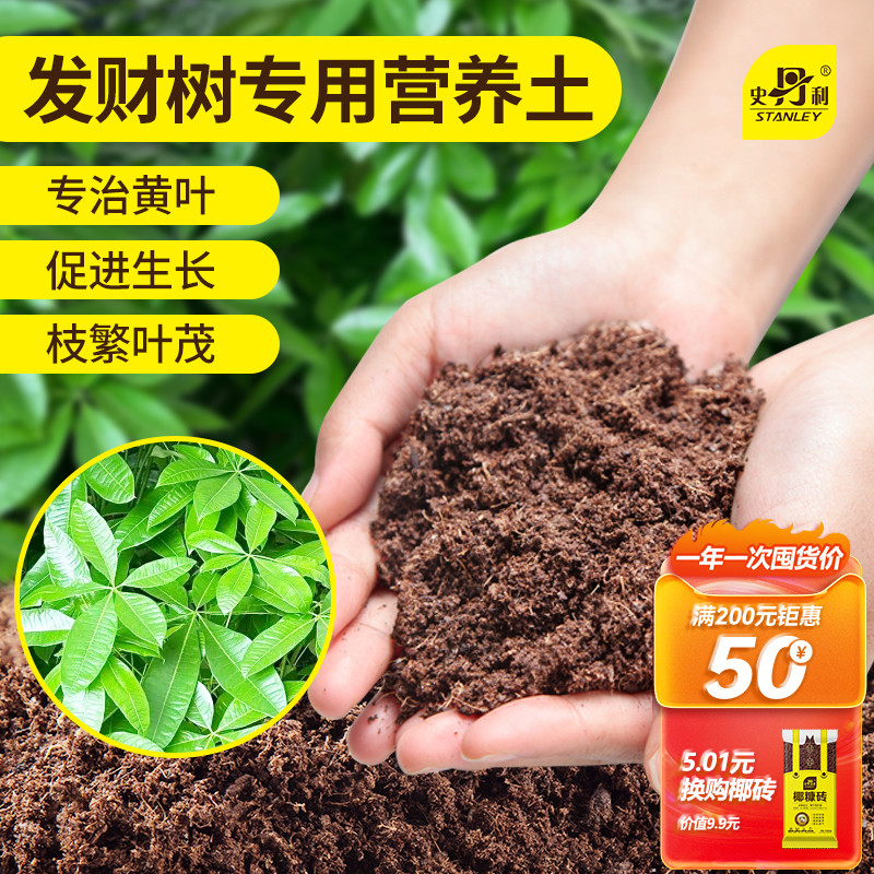 发财树专用土疏松透气