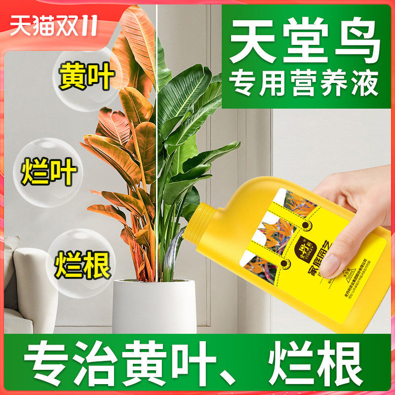 史丹利天堂鸟专用肥料绿植营养液通用型专治黄叶卷边叶子发黄开裂
