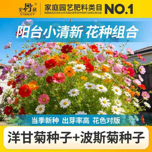 史丹利四季开花家庭园艺种子系列