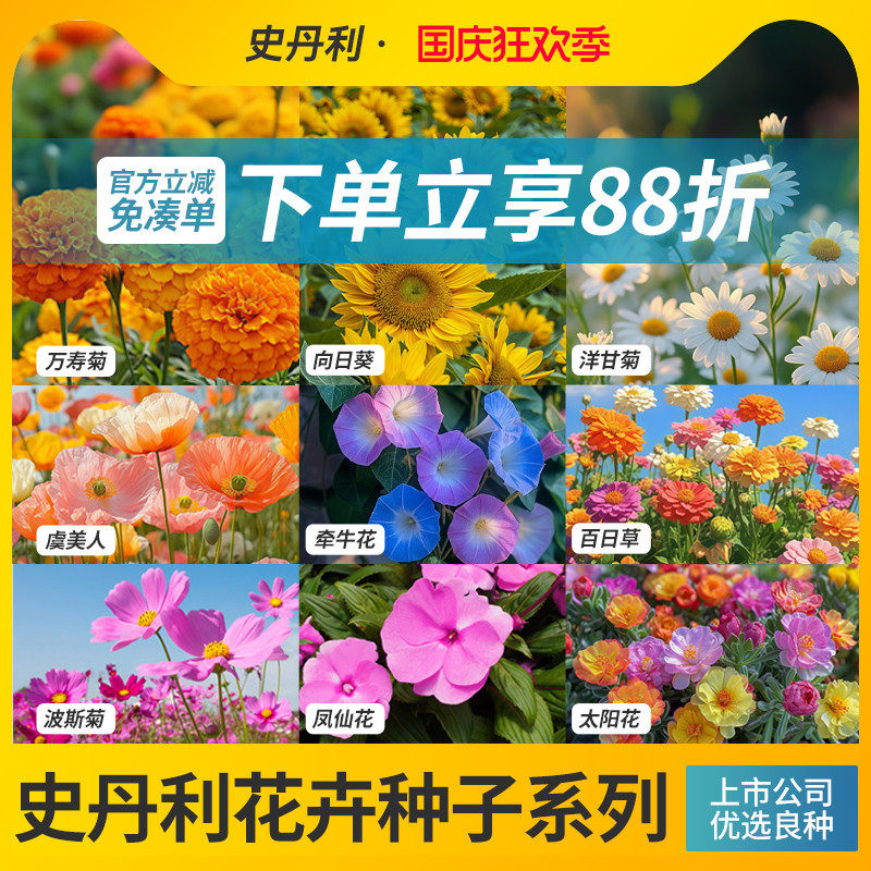 史丹利四季开花家庭园艺种子系列图片