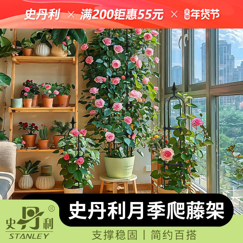 史丹利花架爬藤架藤本月季攀爬阳台花柱藤花盆花支架花柱铁艺架子,鲜花速递/花卉仿真/绿植园艺,花架,淘宝优惠券,粉丝福利购,淘宝优惠卷