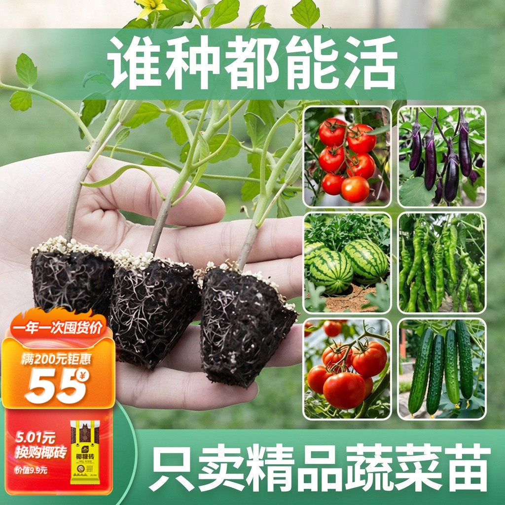史丹利蔬菜苗秧苗水果西瓜黄瓜茄子西红柿辣椒苗番茄种子盆栽南方