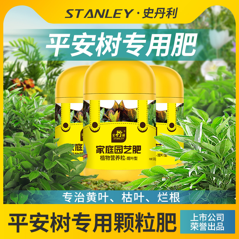 平安树专用肥告别黄叶