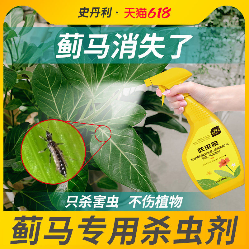 史丹利治抗性蓟马专用杀虫剂呋虫胺虫卵双杀药月季花喷雾植物花卉