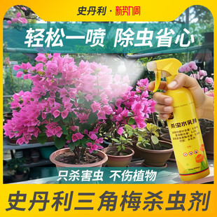 史丹利三角梅专用杀虫剂除虫长虫蚜虫红蜘蛛生去虫子虫害叶子虫药