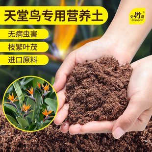 史丹利天堂鸟专用土营养土养花专用绿植盆栽专用肥料泥土种植土壤