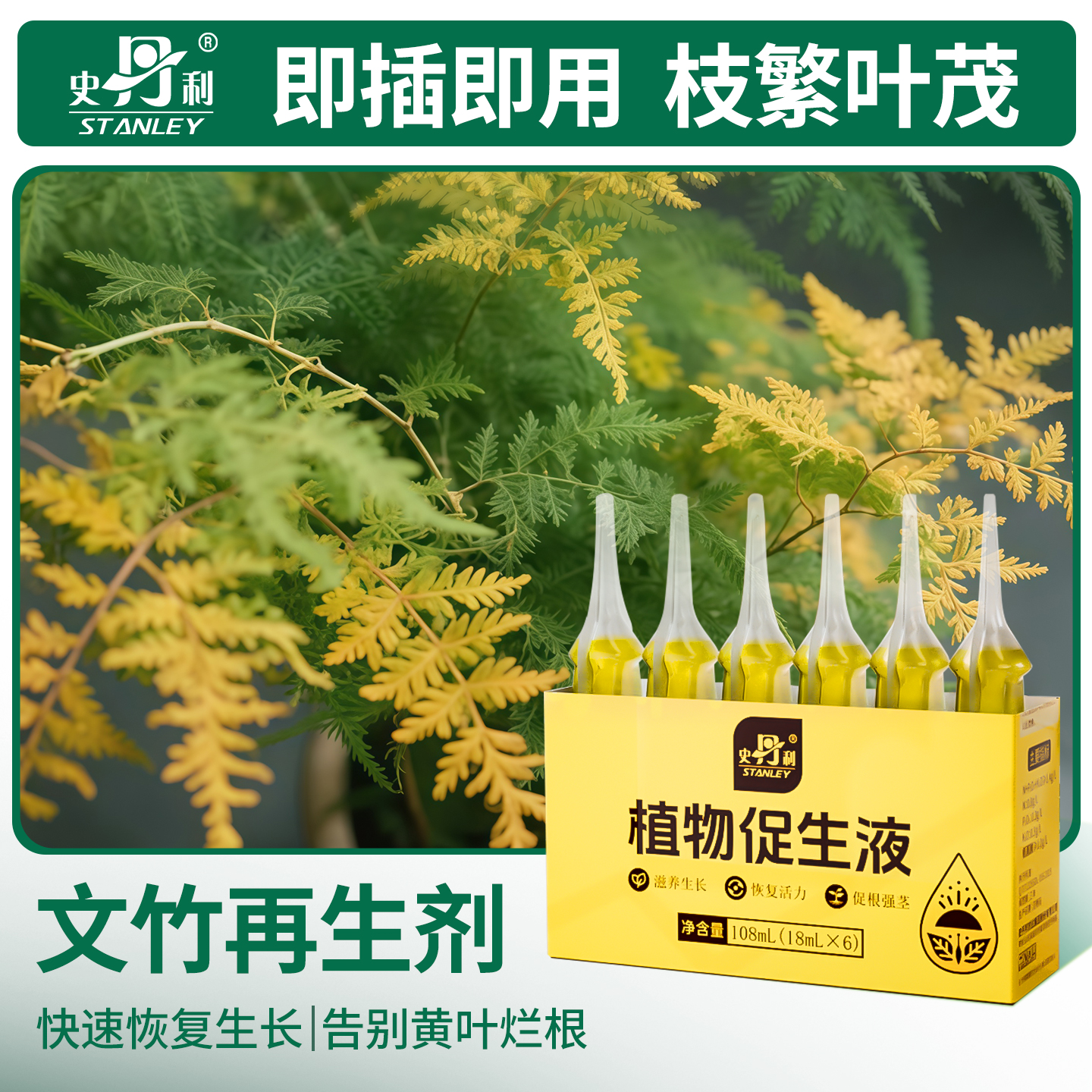 史丹利文竹专用肥植物营养液