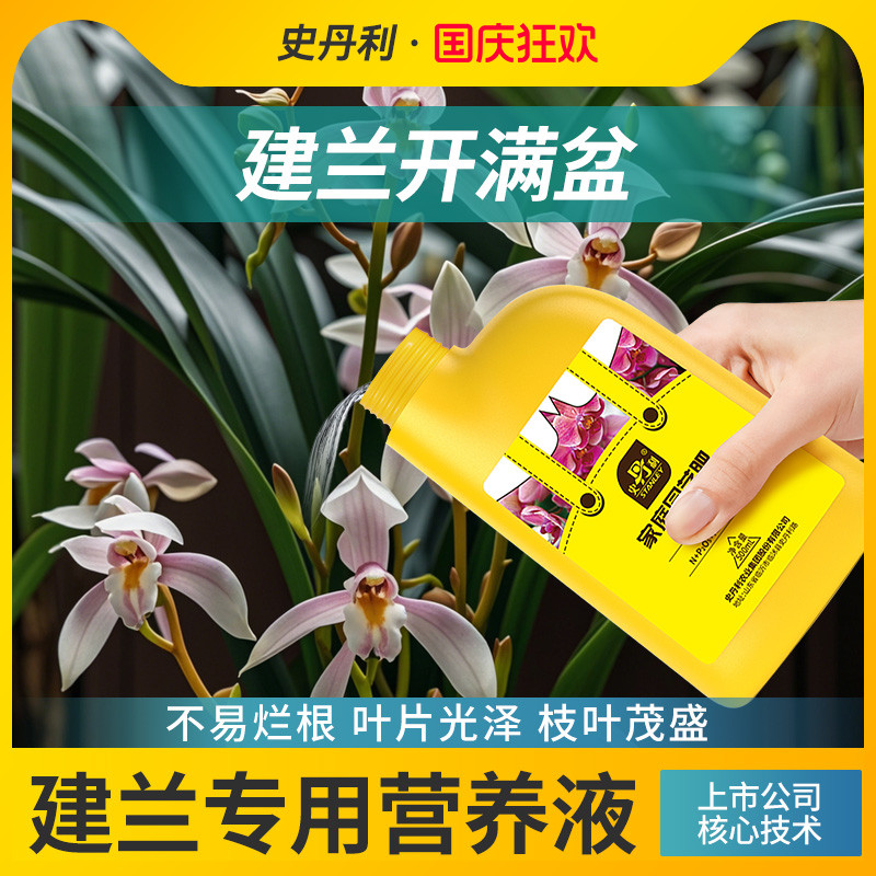 高含量腐殖酸 兰花专用 营养全面均衡