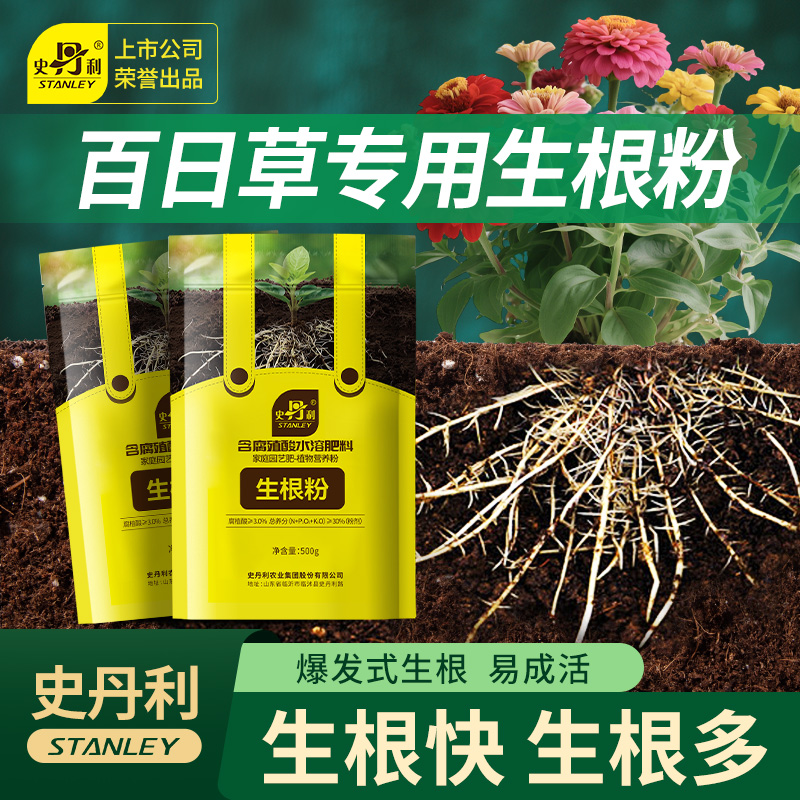 史丹利百日草专用生根粉快速生根