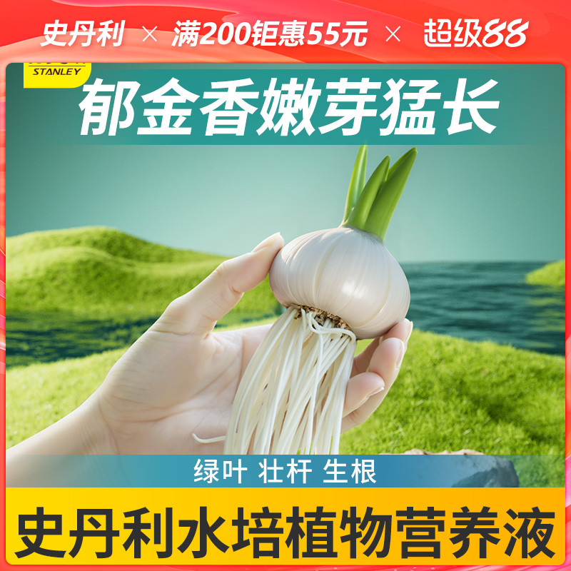 史丹利水培植物营养液郁金香