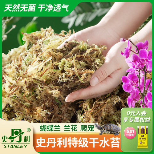 史丹利特级水苔蝴蝶兰专用