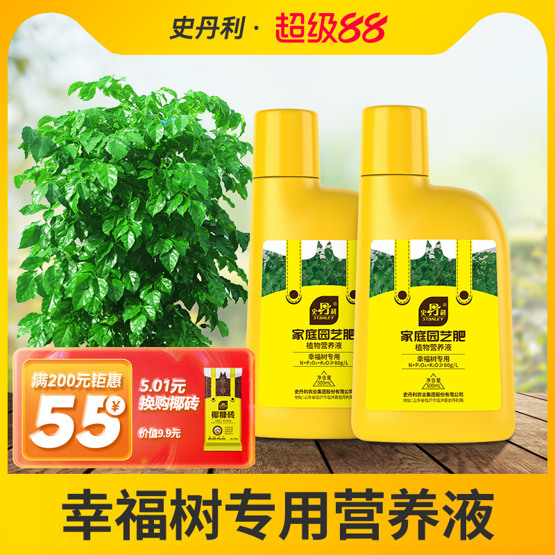 专治幸福树枯叶掉叶黄叶的营养液