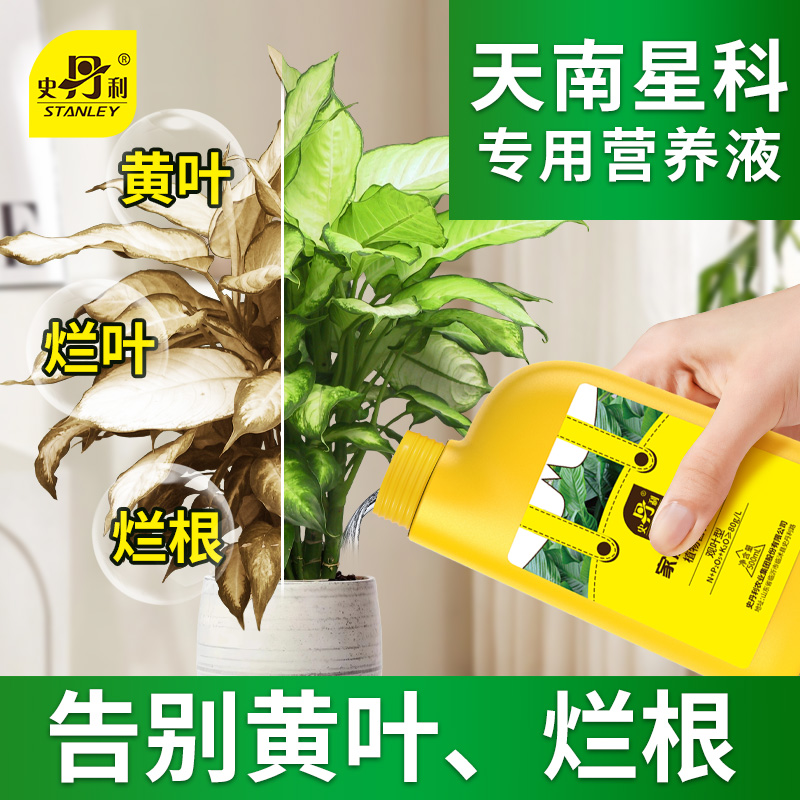 史丹利天南星科专用营养液海芋花肥白龟盆栽花肥料龟背竹观叶植物