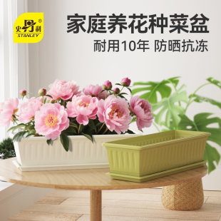 史丹利牡丹花阳台种菜盆室内花卉养花种植塑料花盆长方形加厚家庭