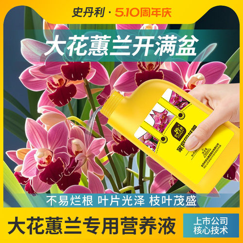 高含量腐殖酸 兰花专用 营养全面均衡