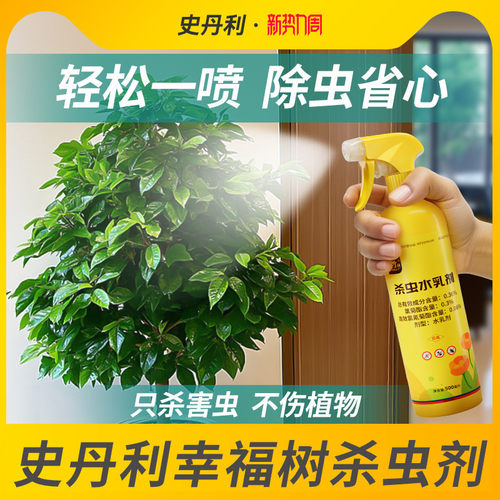 史丹利幸福树专用杀虫剂