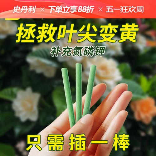 史丹利植物营养缓释棒黄叶变绿叶