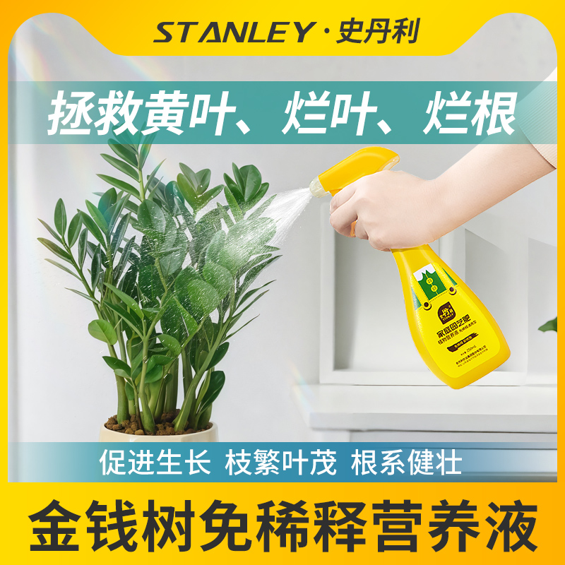 金钱树专用肥告别黄叶
