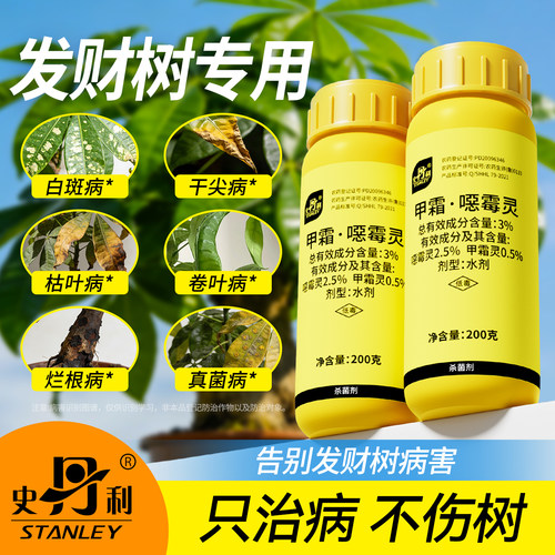 发财树专用药|告别黄叶烂根