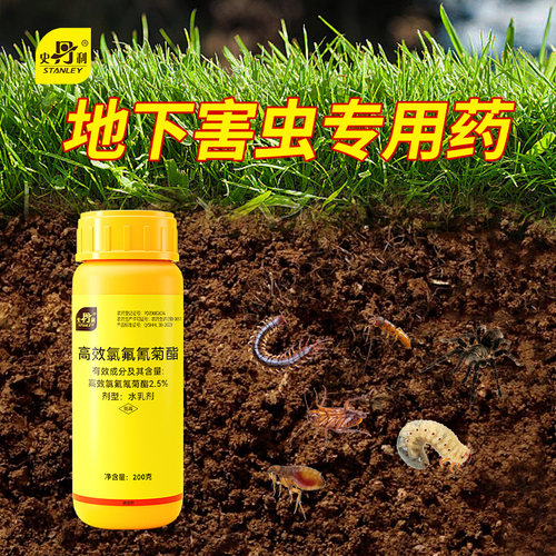 史丹利地下害虫专用药杀虫不伤花