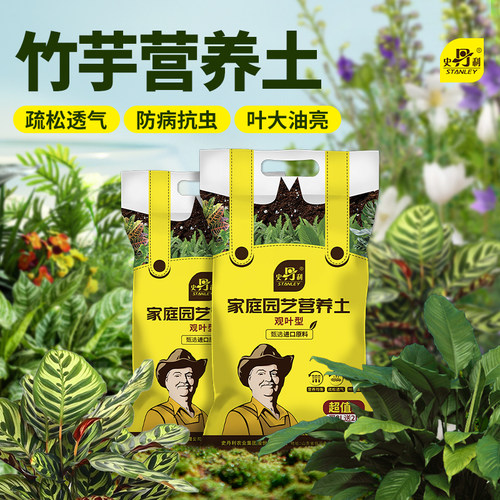 竹芋专用土孔雀飞羽油画彩叶竹芋