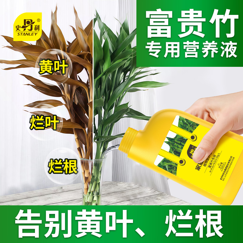 史丹利富贵竹营养液治黄叶促生根