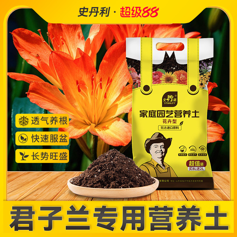 君子兰专用营养土催箭促花图片