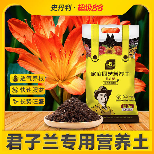 君子兰专用营养土催箭促花